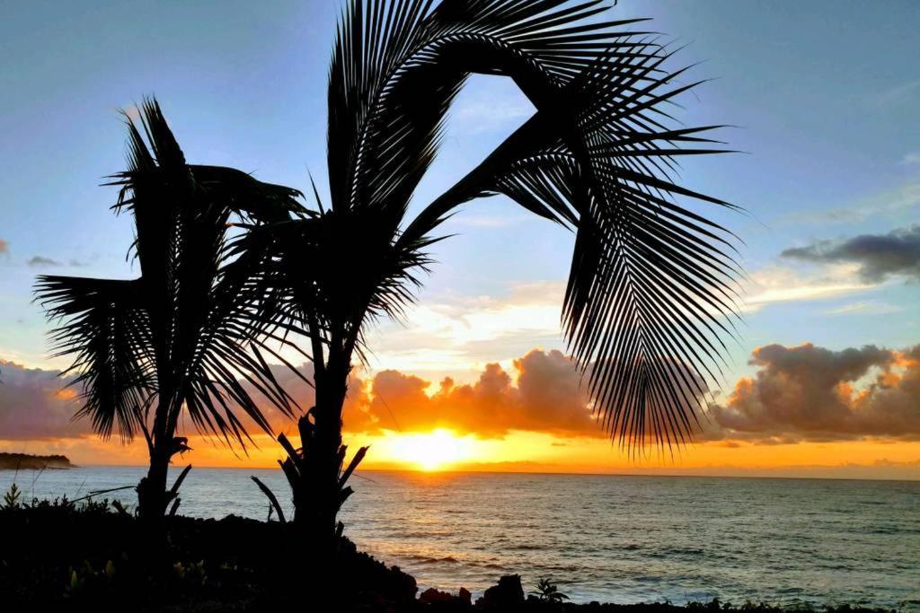 Pahoa Paradise Palms Εξωτερικό φωτογραφία